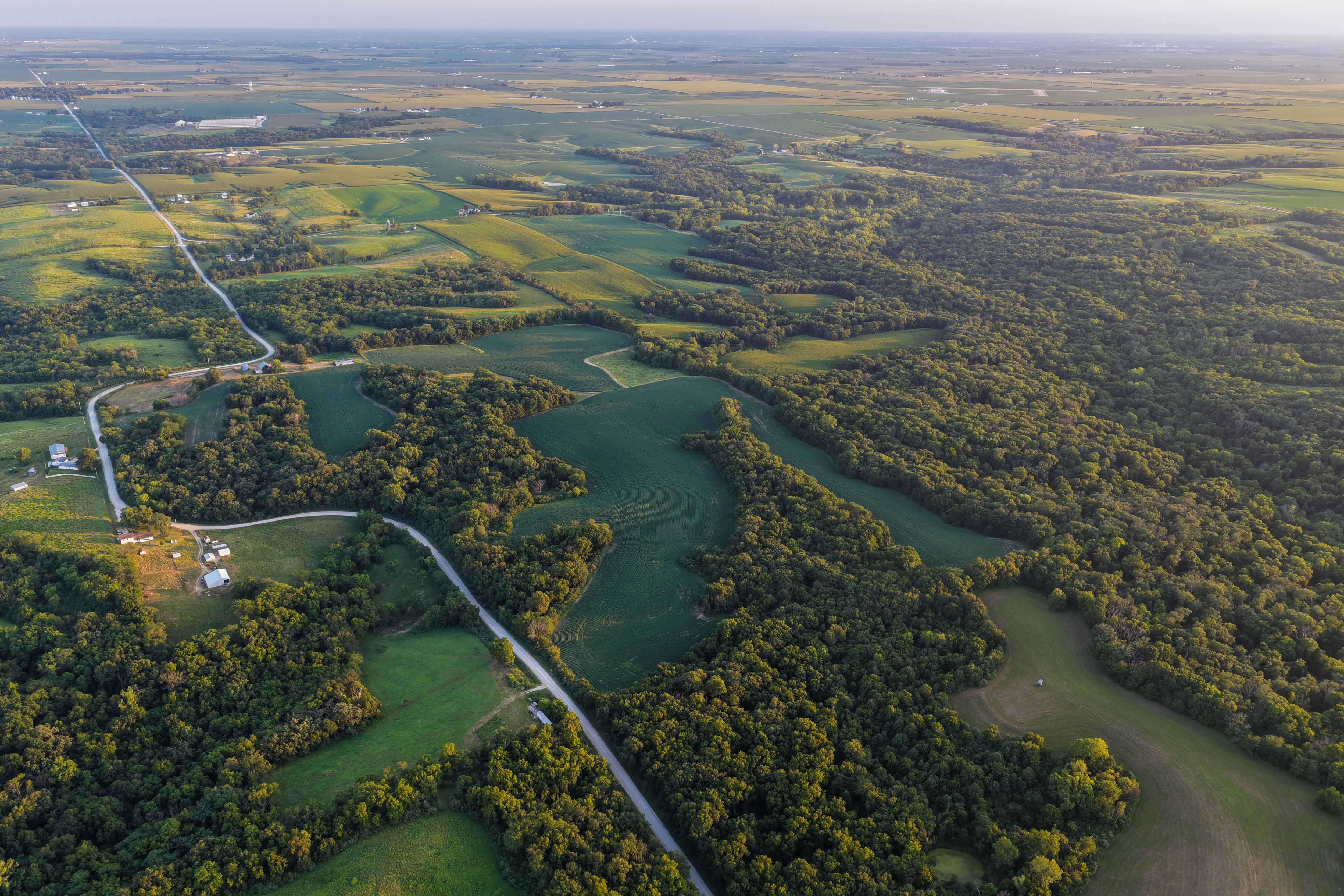 Listing Photo: Whitetail Hunting Farm Mahaska County Iowa-63